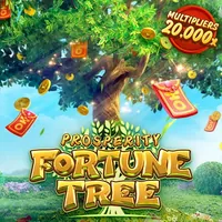 Chọn Alipay làm phương thức thanh toán