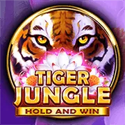 Cá cược thể thao đa dạng trên ứng dụng 1xBet Android