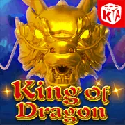 Người dùng đặt cược trực tiếp trên ứng dụng 1xbet Android